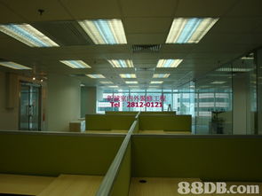 新誠裝修 專業施工，精準報價，打造理想空間